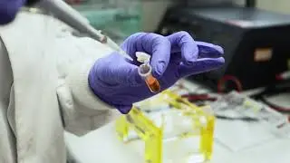 Biodesign Europe - Biotechnology