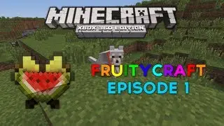 FruityCraft SMP - Episode 1 - Diamonds Already