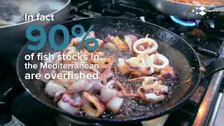 The quickfish guide. Making sustainable fish choices at restaurants.