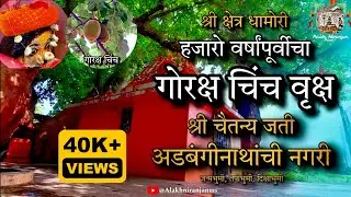 Navnath Maharaj | चैतन्य अडबंगीनाथांची नगरी |श्री क्षेत्र धामोरी |@AlakhNiranjanMS #dhamori #navnath