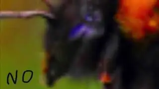 Flight of the bumblebee but its very loud (BASS BOOSTED) (LOUD)