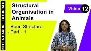 Structural Organisation in Animals | NEET | Bone Structure - Part 1 | Neela Bakore Tutorials