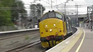 DRS/BR Large Logo 37407 