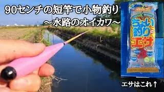 【小物釣り】新しいポイント発見！短い竿で水路を狙う釣りが楽しい。