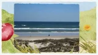 Ponce Inlet Real Estate - Oceanfront Home for Sale - Contact Karin Udolf