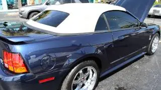 2001 Ford Mustang Cobra S Kenny Brown