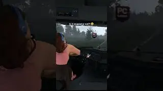 Almost Hit the Car! 😅 | ETS2 Realistic