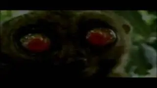 Top 10 Ugliest Creatures - Listverse List