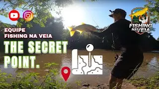 PESCARIA de  Barranco. Dourad&atilde;o na Pesca de Vadeio.