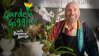 How to Decorate with Indoor Plants | Easy DIY Orchid, Succulent & Air Plant Ideas 🪴