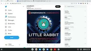 LITTLE RABBIT MIGRATION V1 - V2