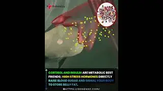 Cortisol and insulin are metabolic best friends high stress hormones directly raise blood sugar and