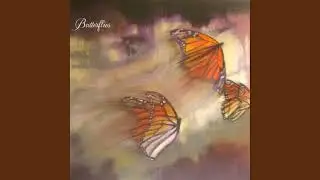 Iluvmsj - Butterflies (1 Hour Loop)
