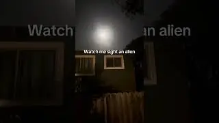 #alien #aliensighting