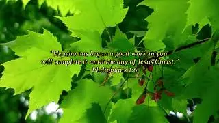 Bible verses #God #faith #love #life #strength #motivation #inspiration #grace #encouragement #hope