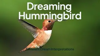 Dreaming Hummingbird - Dream Interpretations