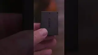 Which Batteries Do They Use? Canon 77D vs Rebel T7 (2000D)