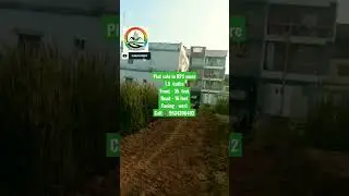 Plot in rps more Patna / पटना मे जमीन #plotinpatna #patnamejamin #patnameinjameen #shorts #viral