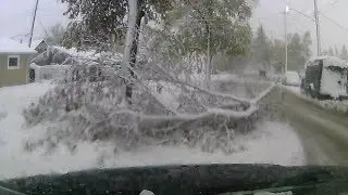 Winnipeg Snow Storm 2019