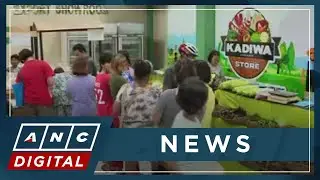 PH Agriculture Department: P20/kilo rice available in some Kadiwa centers starting May 2 | ANC