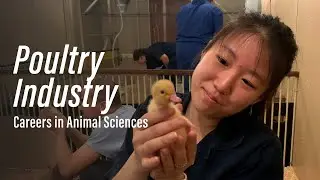 Poultry Industry l Careers in Animal Sciences