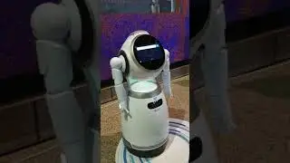 Visitor Registration - Robot