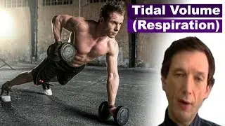 Tidal volume (Respiration)
