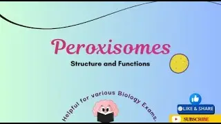 Peroxisomes Structure and Function I Cell Biology #youtubevideos #kvspgt #bsc #msc #emrs