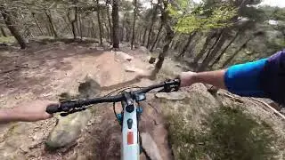 Patty alleine im Pf&auml;lzer Wald - DJI Osmo Action 3