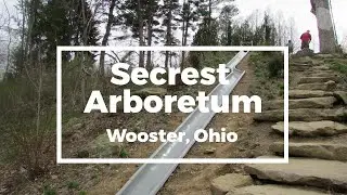 Things to Do at Secrest Arboretum &ndash; Including a HUGE Slide built into a Hill