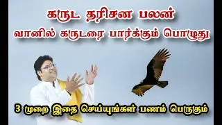 கருட தரிசன பலன் வானில் கருடரை பார்க்கும் பொழுது 3 முறை இதை செய்யுங்கள் பணம் பெருகும்