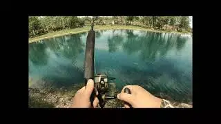 Nuisance Alligator Catch and Release