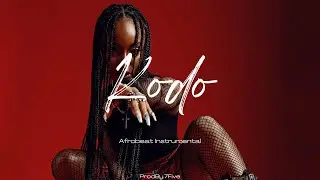 Ayra Starr x Tyla &ldquo;KODO&rdquo; Tayc x Afro Type Beat instrumental 2024 #ayrastarrtypebeat