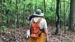 Elkin Explorers Hike At Grassy Creek Vinyard