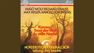 6 geistliche Lieder von Eichendorf: V. Ergebung