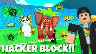 HACKER!! Langsung Dapat DUO Meowl Strawbery Elephant 🐘🍓🐱 | Escape Waves For Lucky Blocks Indonesia