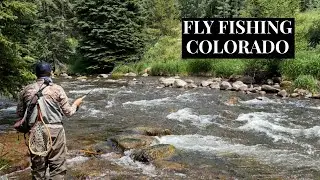 Colorado Fly Fishing: Zebra Midge, Hare's Ear, Caddis