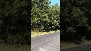 800-02448-000  1401 Parkway Ln, Horseshoe Bend, AR, 72512