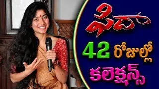 Fida 42 Days Collections | Fida 42 Days Box office collections | Fida Box office collections,Fida 42