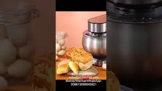 SC-205E digital stand mixer, 5L 1000W metal/nylon gears, www.shinechef.cn