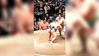 The Shocking Truth Behind Sumo Wrestling &mdash; Discipline, Power, and Secrets!
