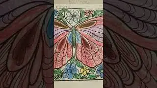 Eshan color butterfly