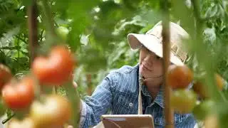 Unlock the Secrets of Agri Tourism in Sri Lanka's Ella Eco Resort