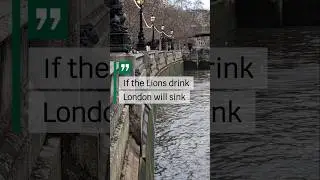 If the lions drink, London will sink 🌊