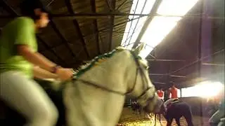 Carrousel @ furka