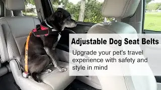 Elevate Your Pet's Safety with Wholesale Adjustable Dog Seat Belts!