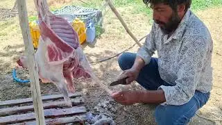 Nomadic Life | Traditional Cooking in Nature | Peaceful Village Life