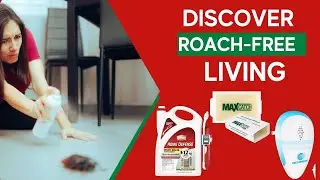 Best Pest Control Products For Cockroaches -Keep Roaches At Bay & Enjoy Peace Of Mind