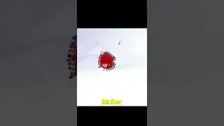 Many Ants Drinking Red Liquid Candy Time lapse 2021 #shorts #youtubeshorts