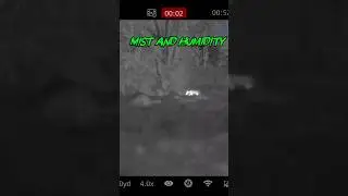 COYOTE hunting in the Rain, Challenging conditions to predator hunt, #nocpix #thermal #predator #pew